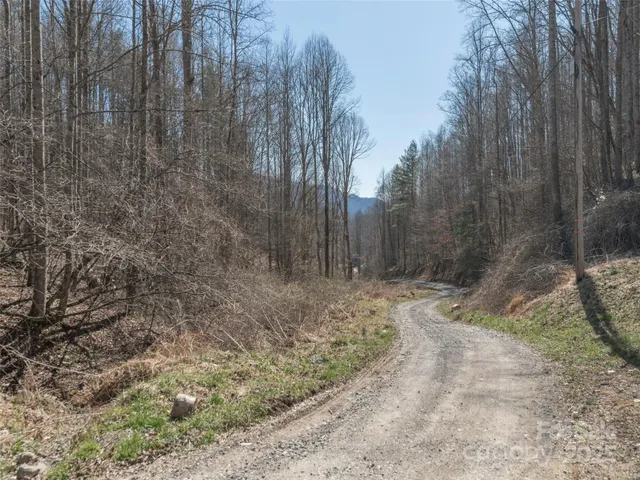 a view of a yard with trees in the background