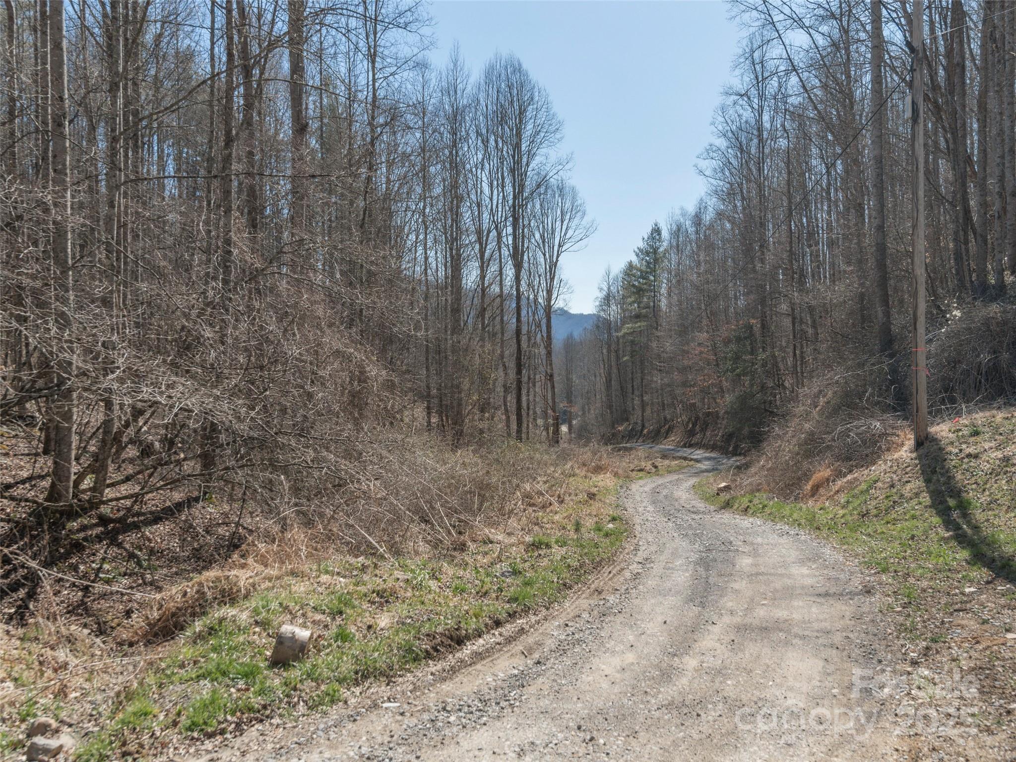 99999 Gibson Branch Road Clyde, NC 28721 - Photo 6 of 11