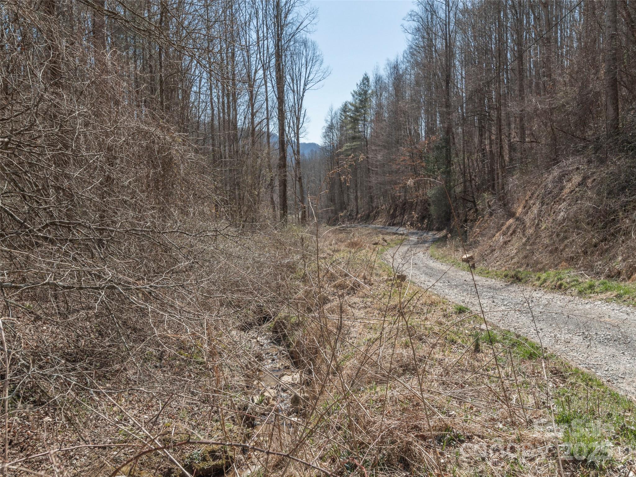 99999 Gibson Branch Road Clyde, NC 28721 - Photo 7 of 11