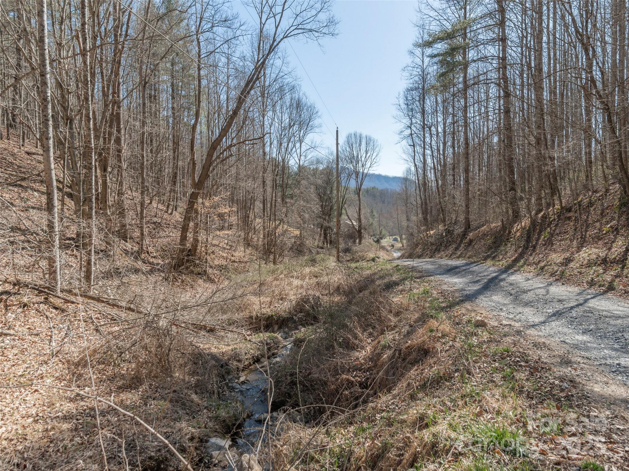 99999 Gibson Branch Road Clyde, NC 28721 - Photo 9 of 11