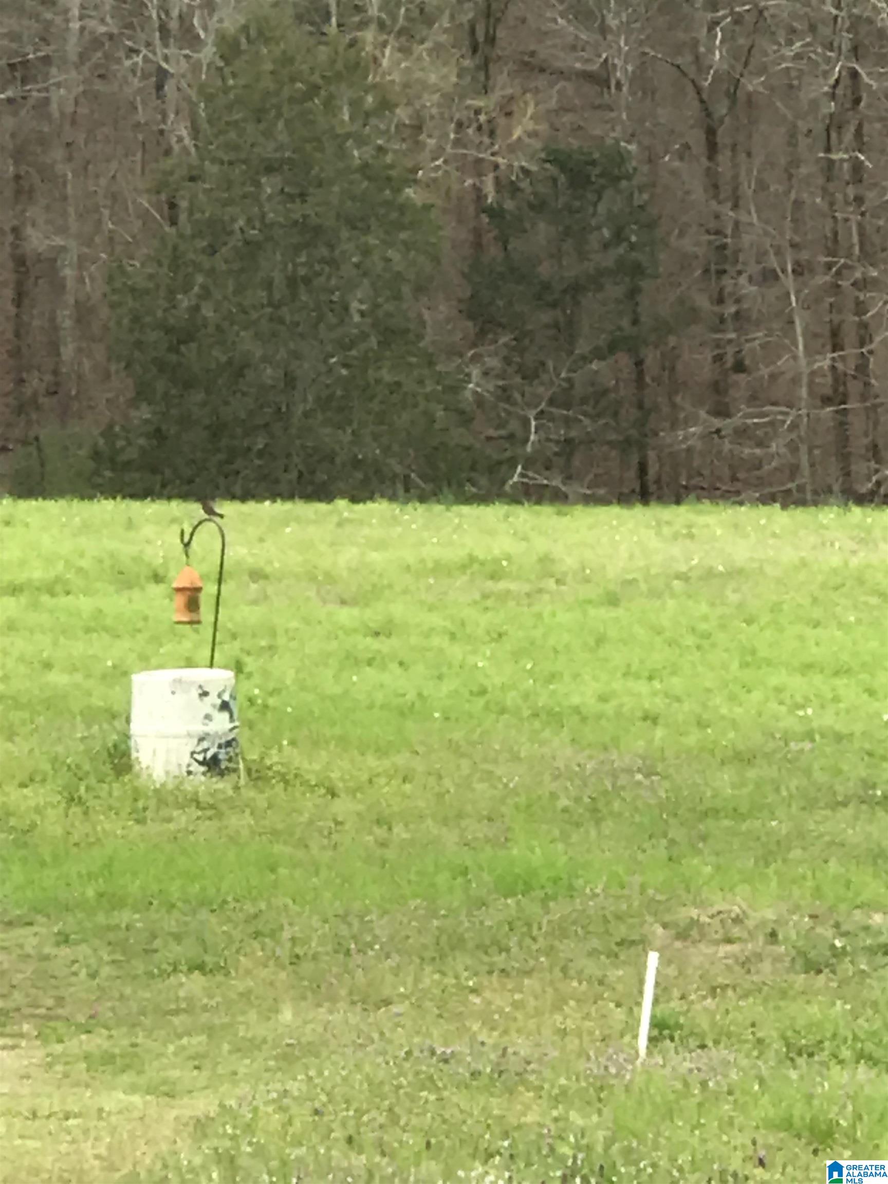 33195 Highway 79 Cleveland, AL 35049 - Photo 56 of 57