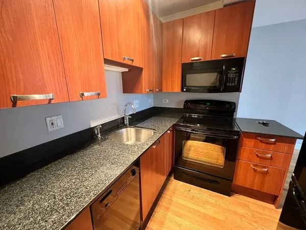 $1,725 | 732 West Bittersweet Place, Unit 806, Chicago, IL 60613