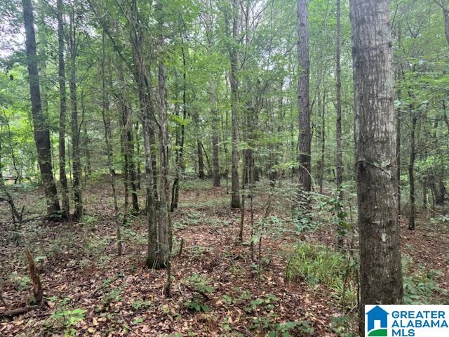 104 Shell Lane Pell City, AL 35125 - Photo 3 of 10