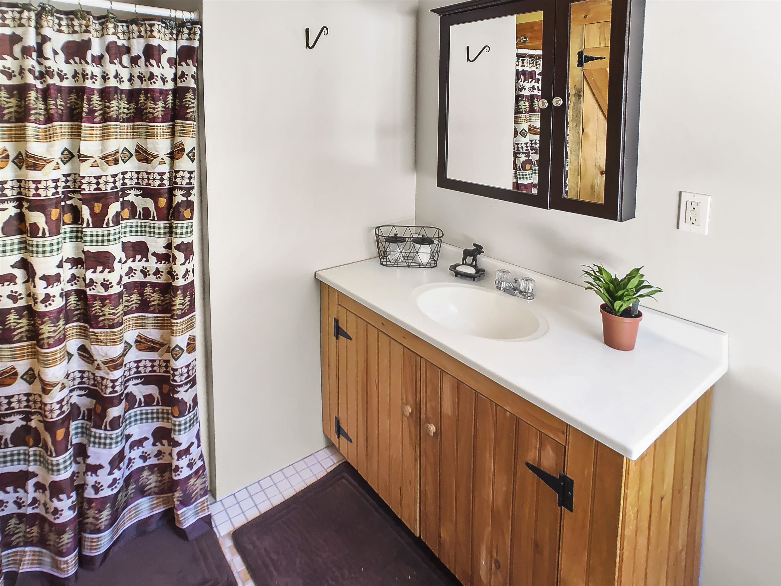 1355 Whitneyville Road Halifax, VT 05358 - Photo 27 of 40