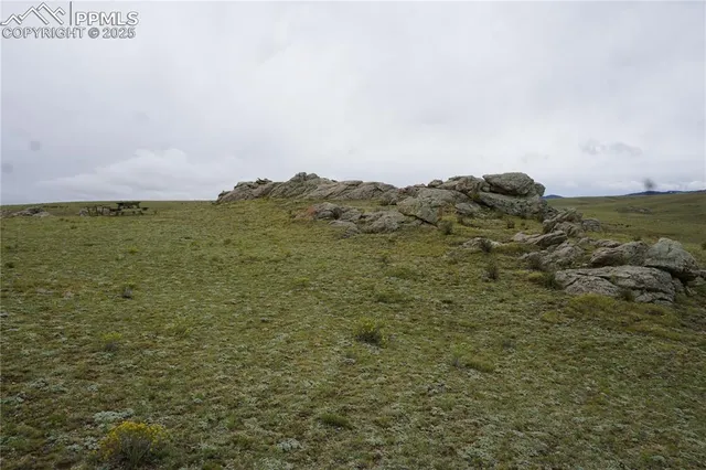 a view of a field with an ocean