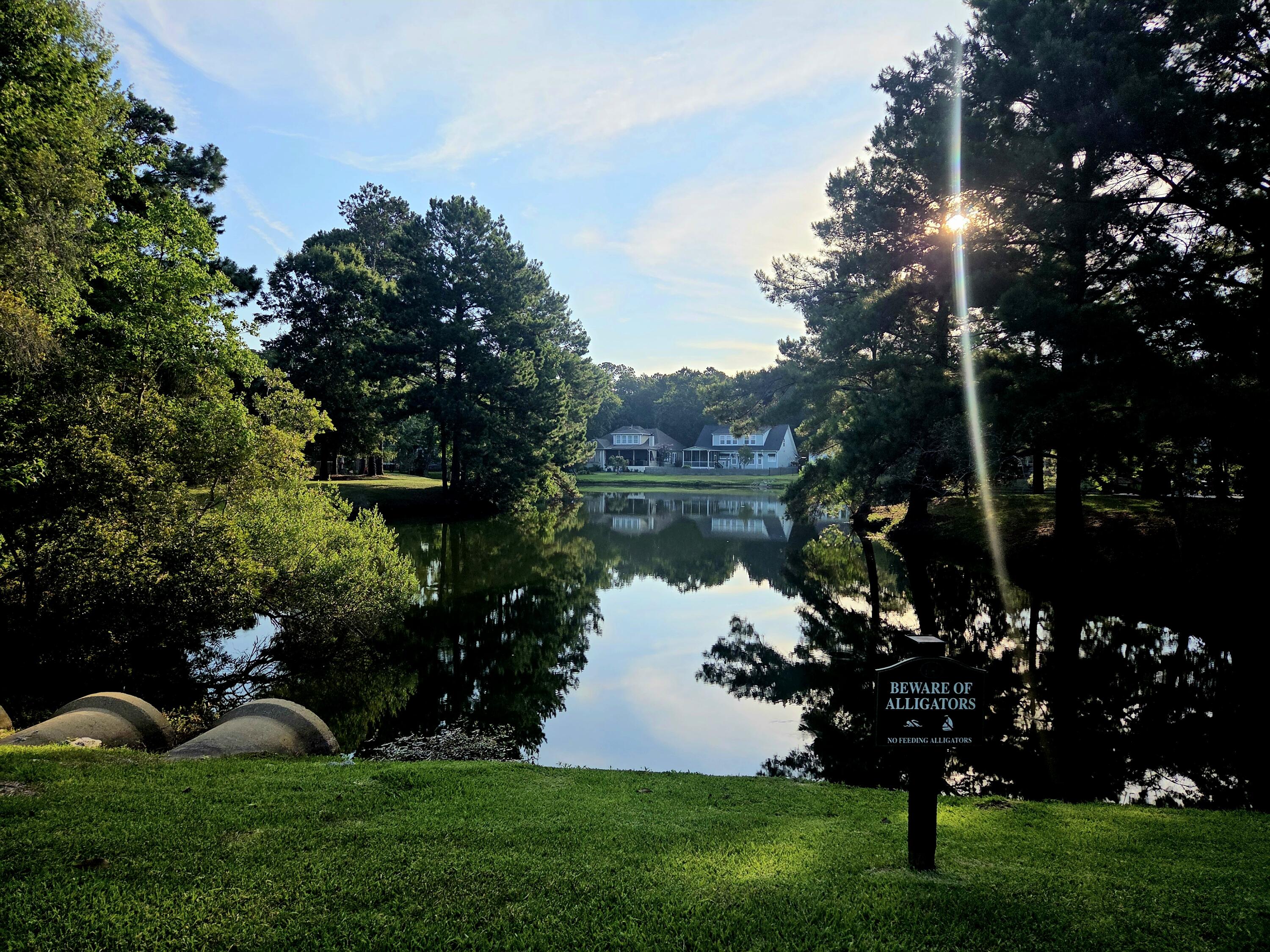 3491 Toomer Kiln Circle Mount Pleasant, SC 29466 - Photo 36 of 44 middle pond