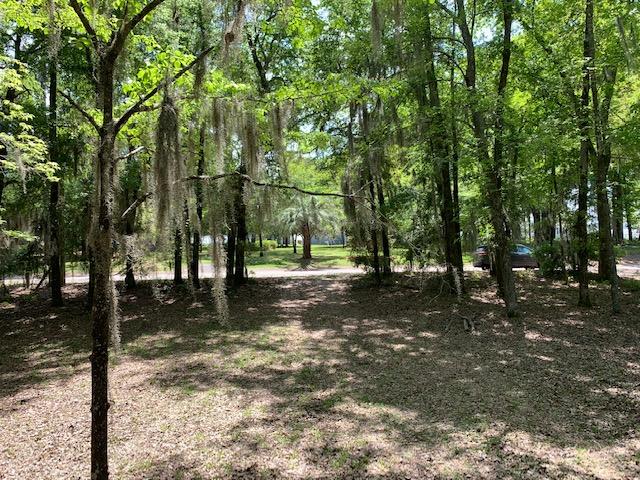 3455 Princess Pond Road Summerton, SC 29148 - Photo 18 of 20 IMG_2213
