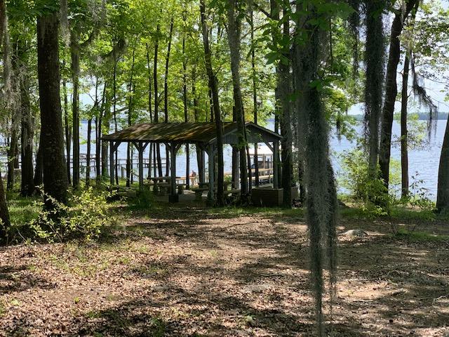 3455 Princess Pond Road Summerton, SC 29148 - Photo 20 of 20 IMG_2215