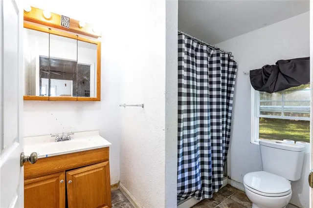 a bathroom with a sink toilet vanity and window