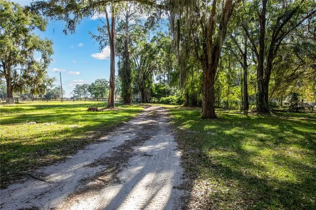 a view of a park with trees in the background