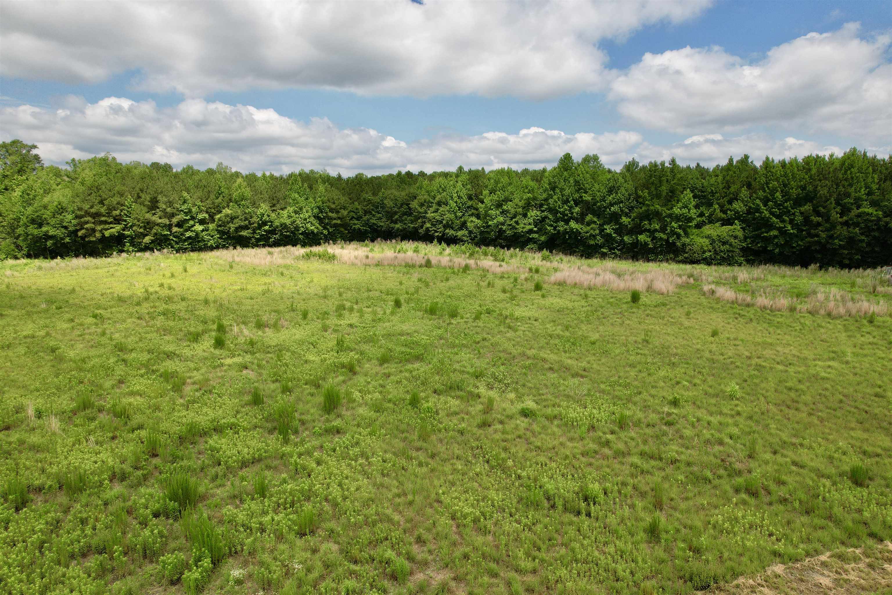 0 Powell Rd Green Green Sea, SC 29545 - Photo 69 of 72