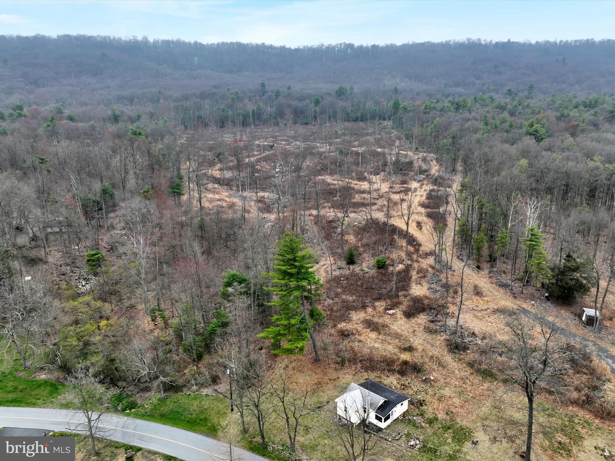 87 Saw Mill Road Pine Grove, PA 17963 - Photo 3 of 22 Gallery Image 3