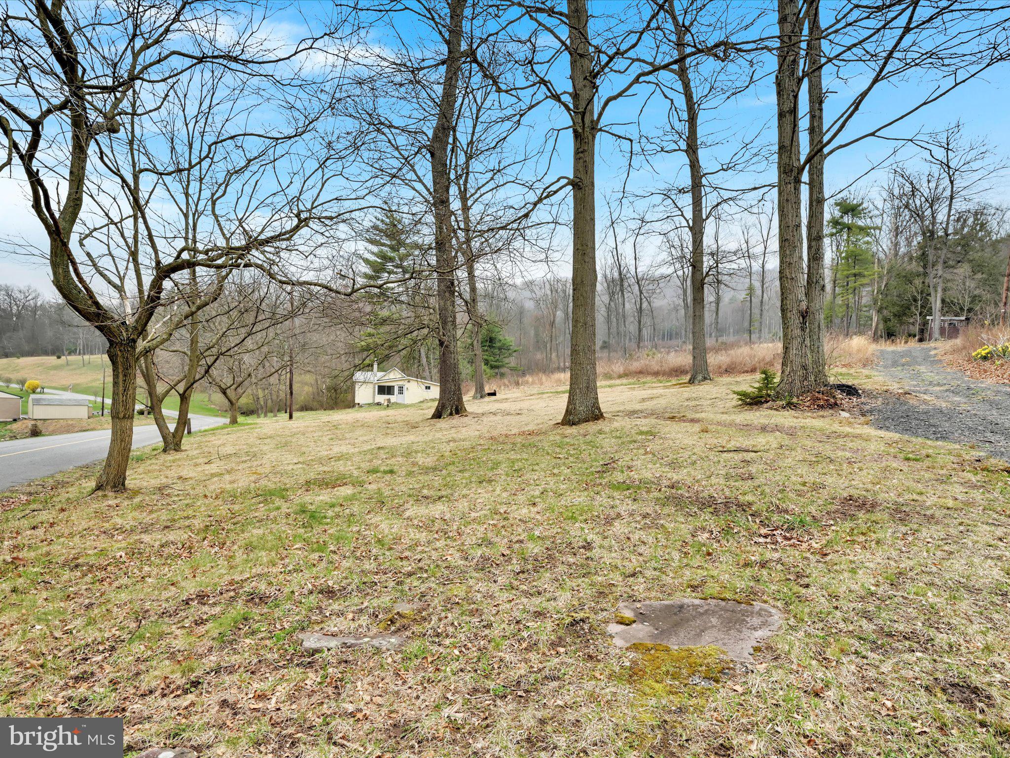 87 Saw Mill Road Pine Grove, PA 17963 - Photo 4 of 22 Gallery Image 4