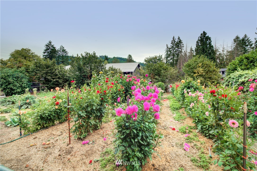 18505 Southeast May Valley Road Issaquah, WA 98027 - Photo 20 of 33