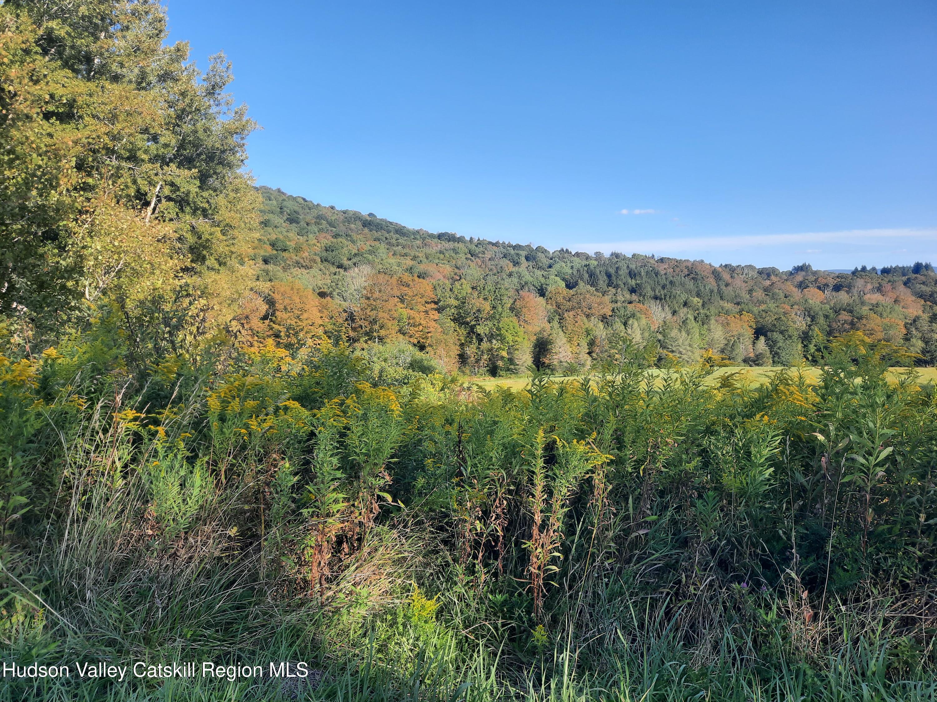 Tbd Upper Dingle Hill Road Andes, NY 13731 - Photo 25 of 44 20250911_165808