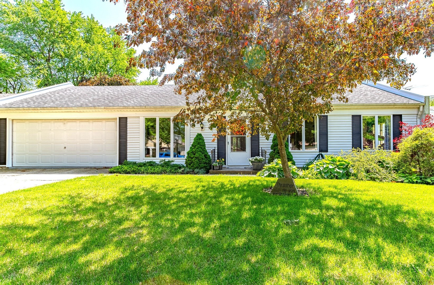 a front view of house with yard and green space