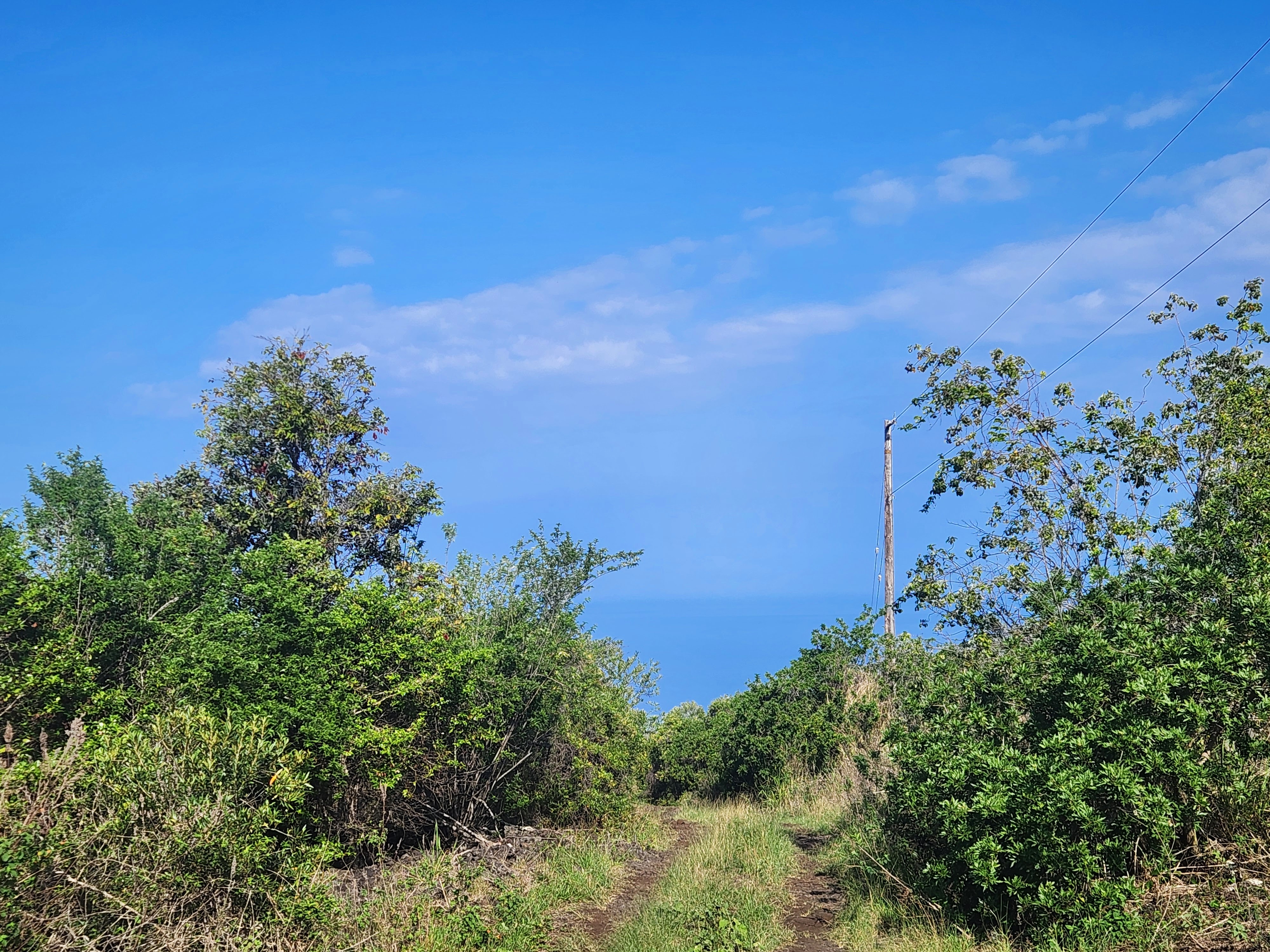 0 Th Captain Cook, HI 96704 - Photo 3 of 6 a view of a garden