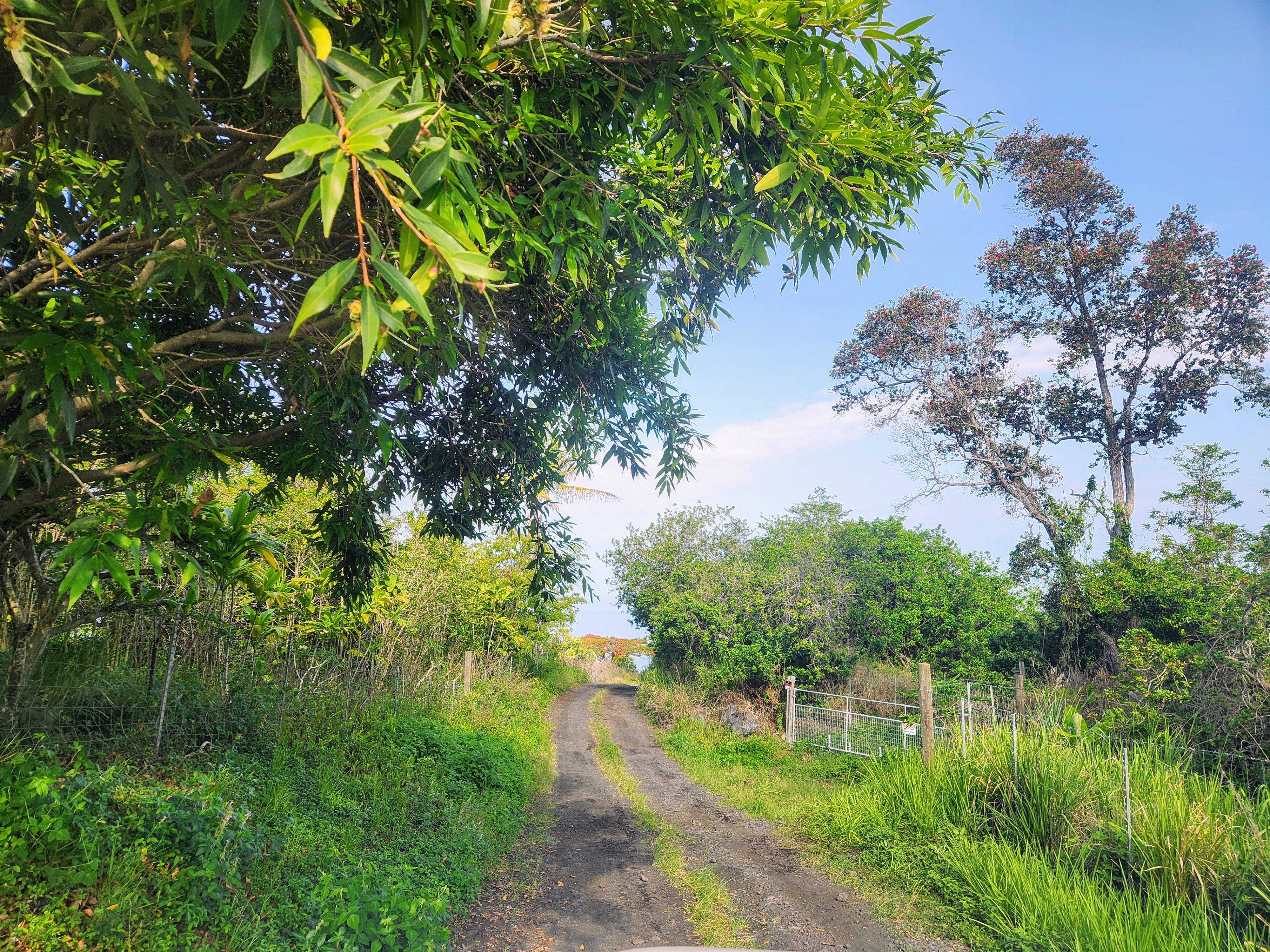 0 Th Captain Cook, HI 96704 - Photo 4 of 6 a view of a lake from a garden