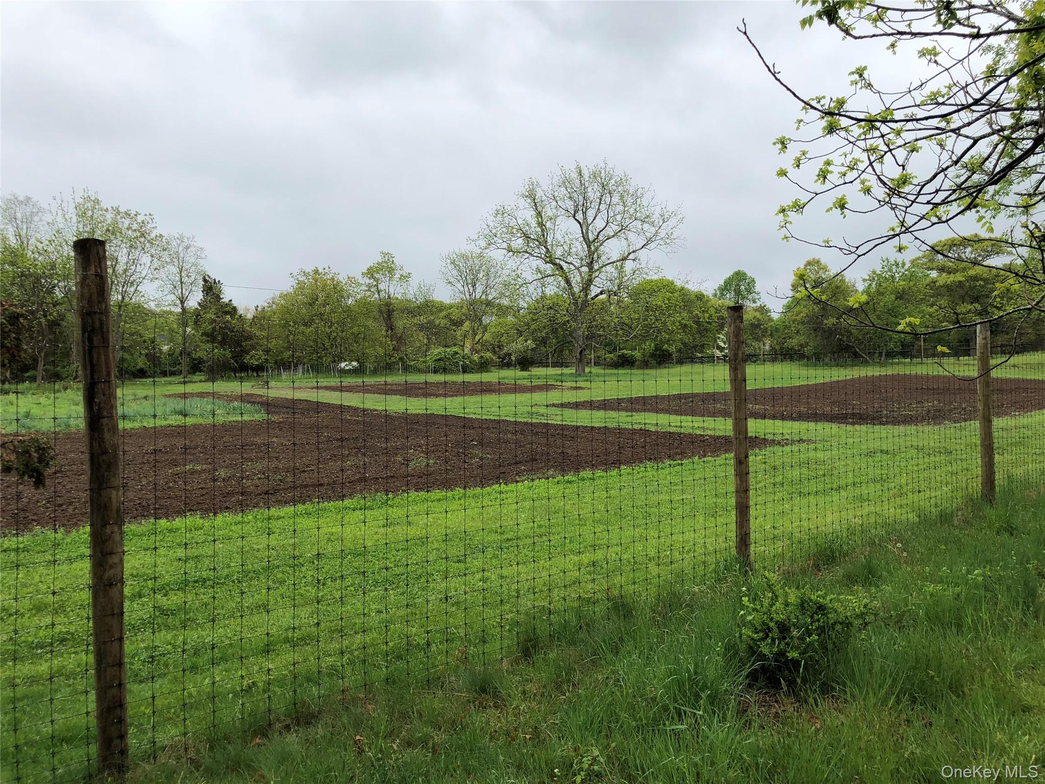 38 Landing Meadow Road Smithtown, NY 11787 - Photo 42 of 45 Gallery Image 42