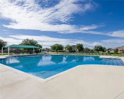 a view of a swimming pool with lawn chairs and large tree
