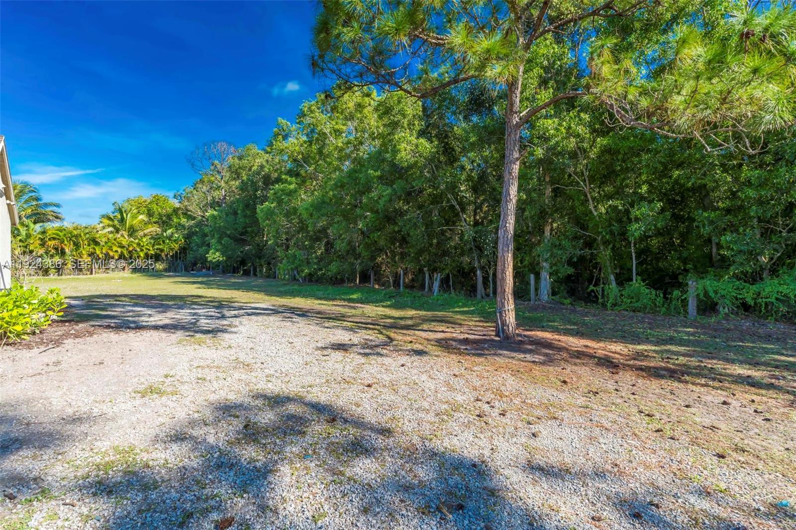 17607 88th Road North Loxahatchee, FL 33470 - Photo 39 of 56 a view of a yard with tree s