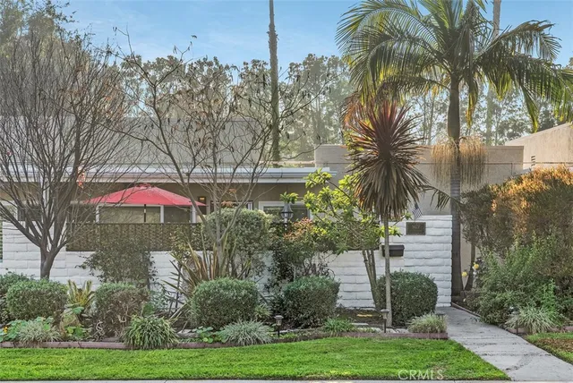 a view of a palm trees in front of a building