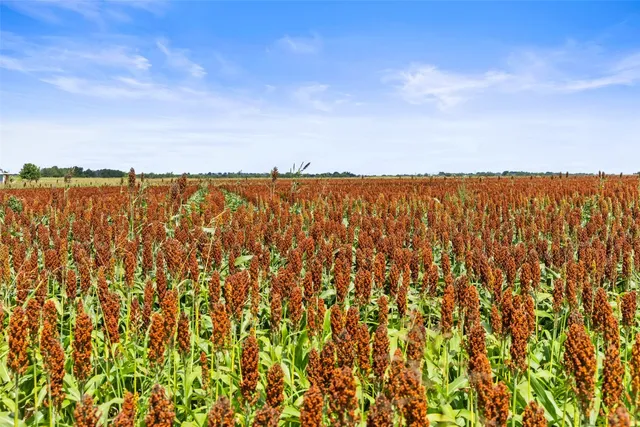 $400,000 | 13201 Jacobson Road, Unit 14, Manor, TX 78653