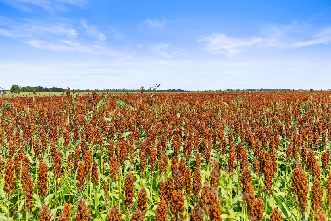 13201 Jacobson Road, Unit 14 Manor, TX 78653 - Photo 11 of 11 a view of ocean and green space
