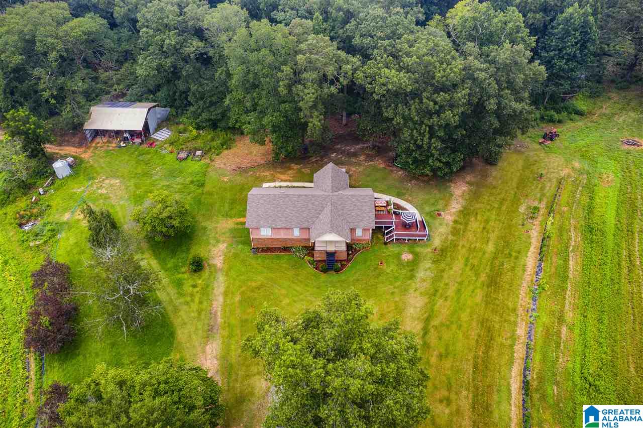 3408 Highway 1 Oneonta Al Oneonta, AL 35121 - Photo 47 of 50