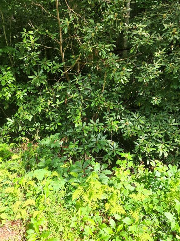 0 Zacks Fork Road Lenoir, NC 28645 - Photo 12 of 17 Gallery Image 12