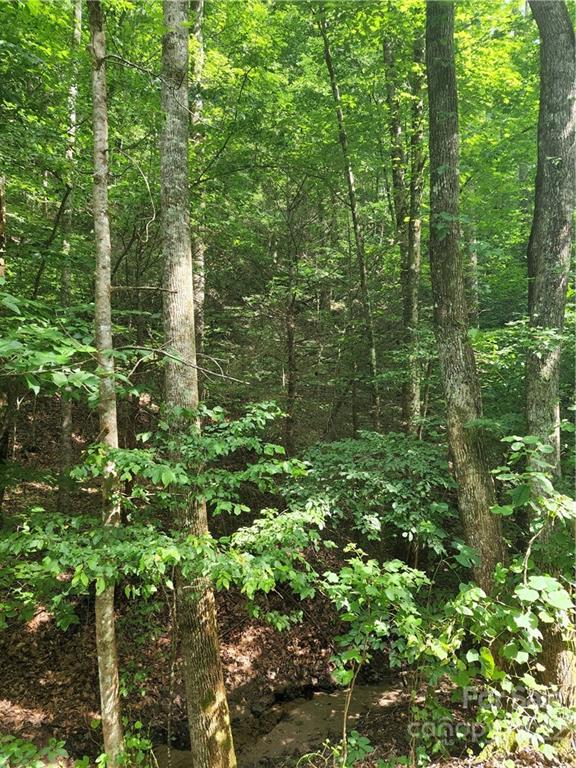 0 Zacks Fork Road Lenoir, NC 28645 - Photo 10 of 17 Gallery Image 10