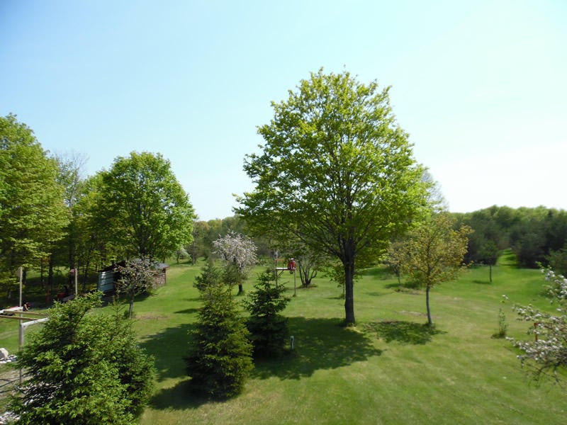 3959 North Webb Road Hessel, MI 49745 - Photo 4 of 28 Gallery Image 4