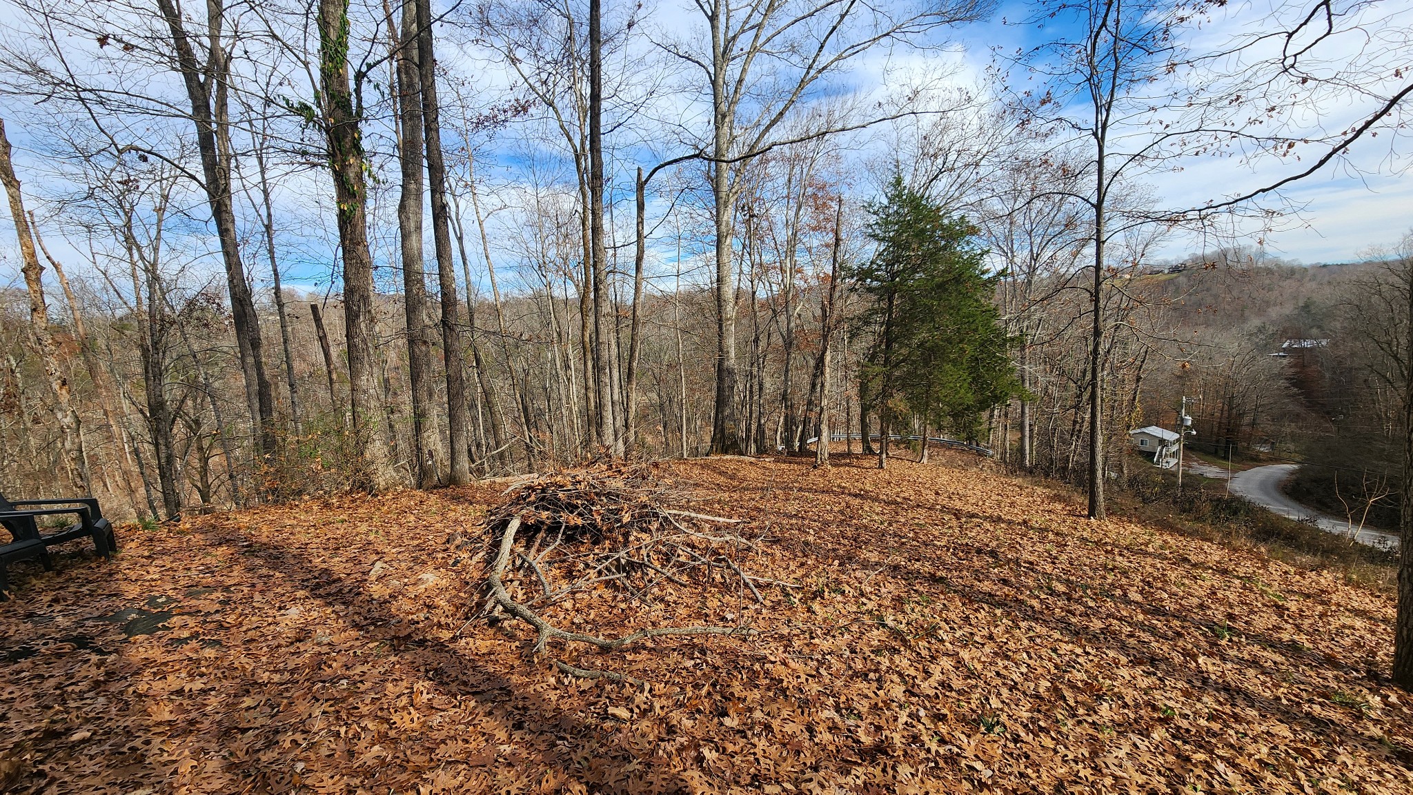 5615 Eastport Road Alpine, TN 38543 - Photo 68 of 83 a view of a backyard of the house