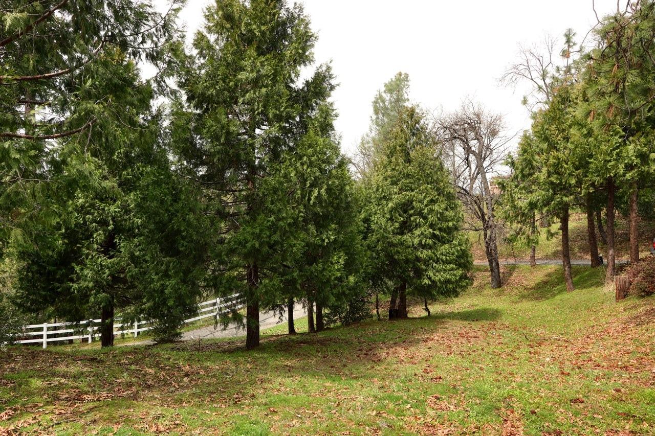 51973 Montgomery Drive Oakhurst, CA 93644 - Photo 44 of 50 a view of swimming pool with a yard