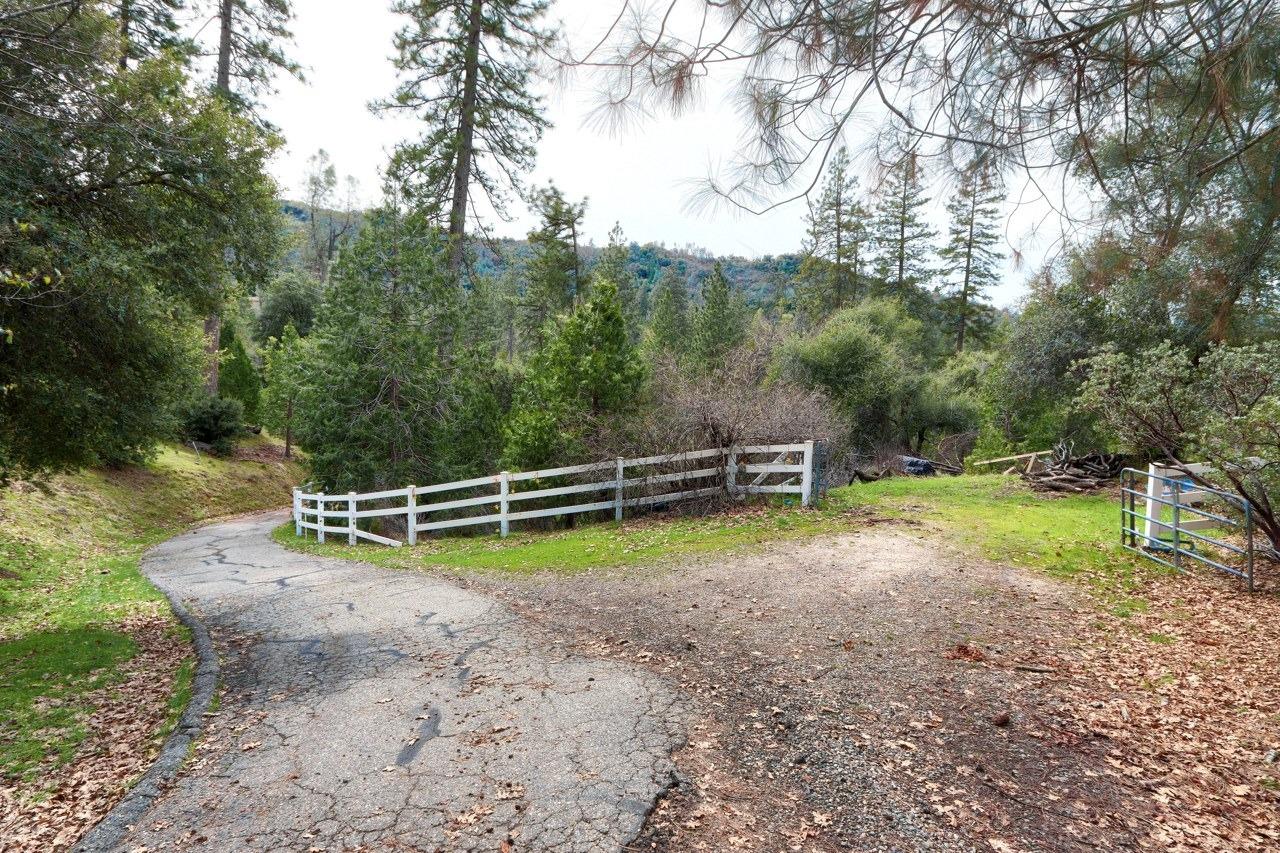 51973 Montgomery Drive Oakhurst, CA 93644 - Photo 48 of 50 a view of a playground with slide