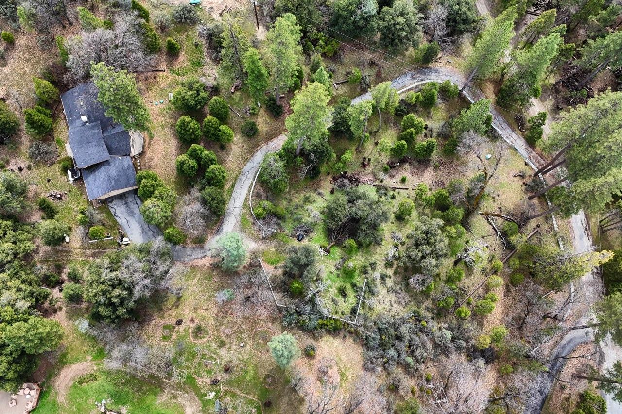 51973 Montgomery Drive Oakhurst, CA 93644 - Photo 49 of 50 an aerial view of residential houses with outdoor space and trees