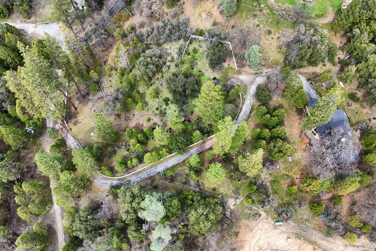 51973 Montgomery Drive Oakhurst, CA 93644 - Photo 50 of 50 a view of a forest with a tree