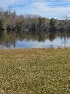a view of a lake from a yard