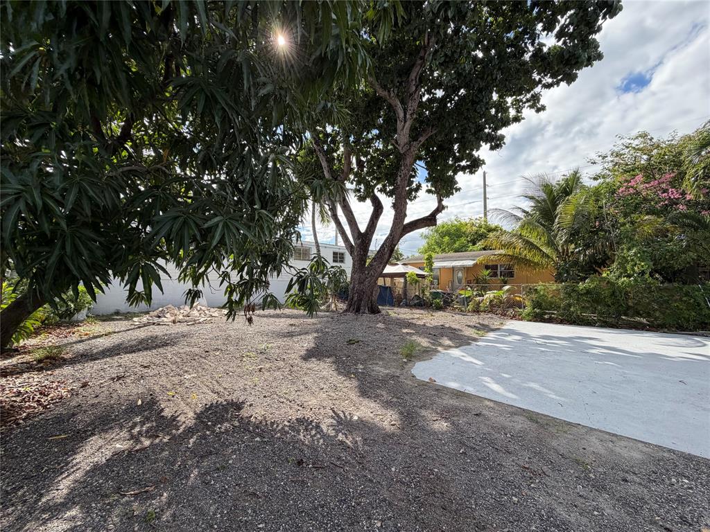 778 Northwest 80th Street Miami, FL 33150 - Photo 33 of 35 a view of a out door space