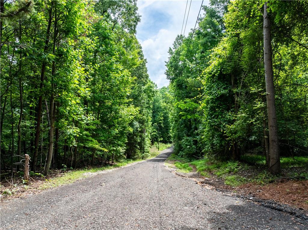 399 James Daniel Road Rockmart, GA 30153 - Photo 24 of 58