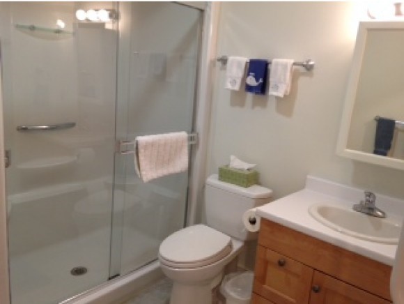 53 Lyme Road, Unit 11 Hanover, NH 03755 - Photo 7 of 11