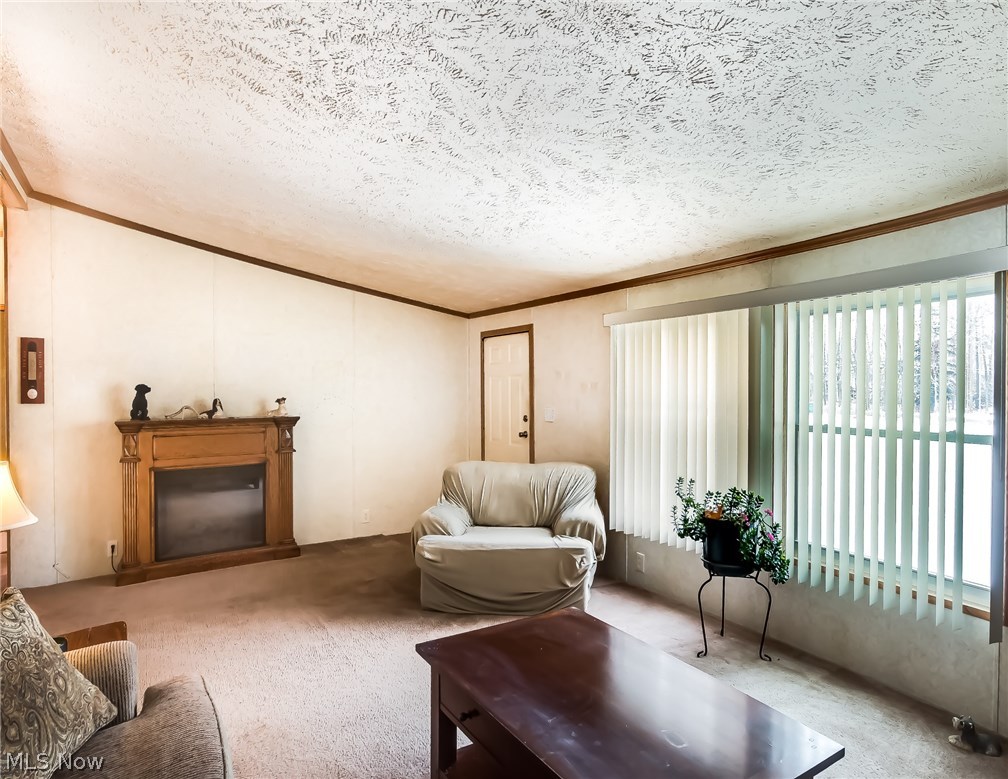 7444 Pettibone Road Chagrin Falls, OH 44023 - Photo 6 of 29 Living room - what an open inviting space