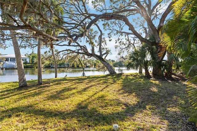 a view of yard with tree s
