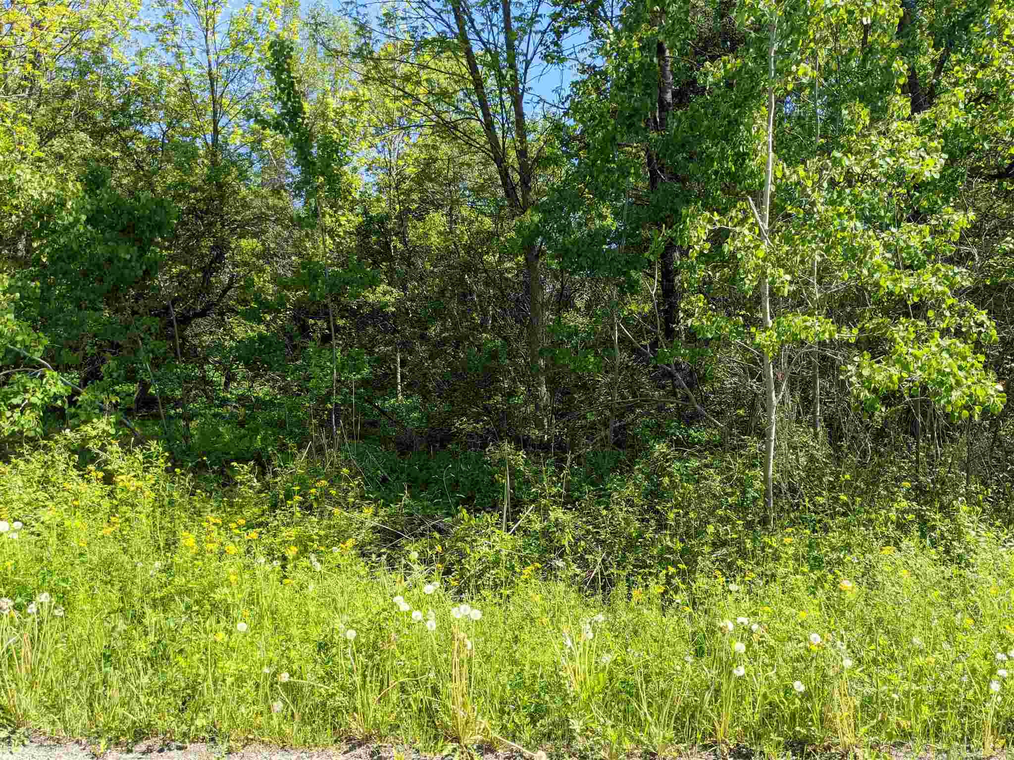 0 Cedar Street, Unit LOT 118 Lunenburg, VT 05906 - Photo 3 of 4