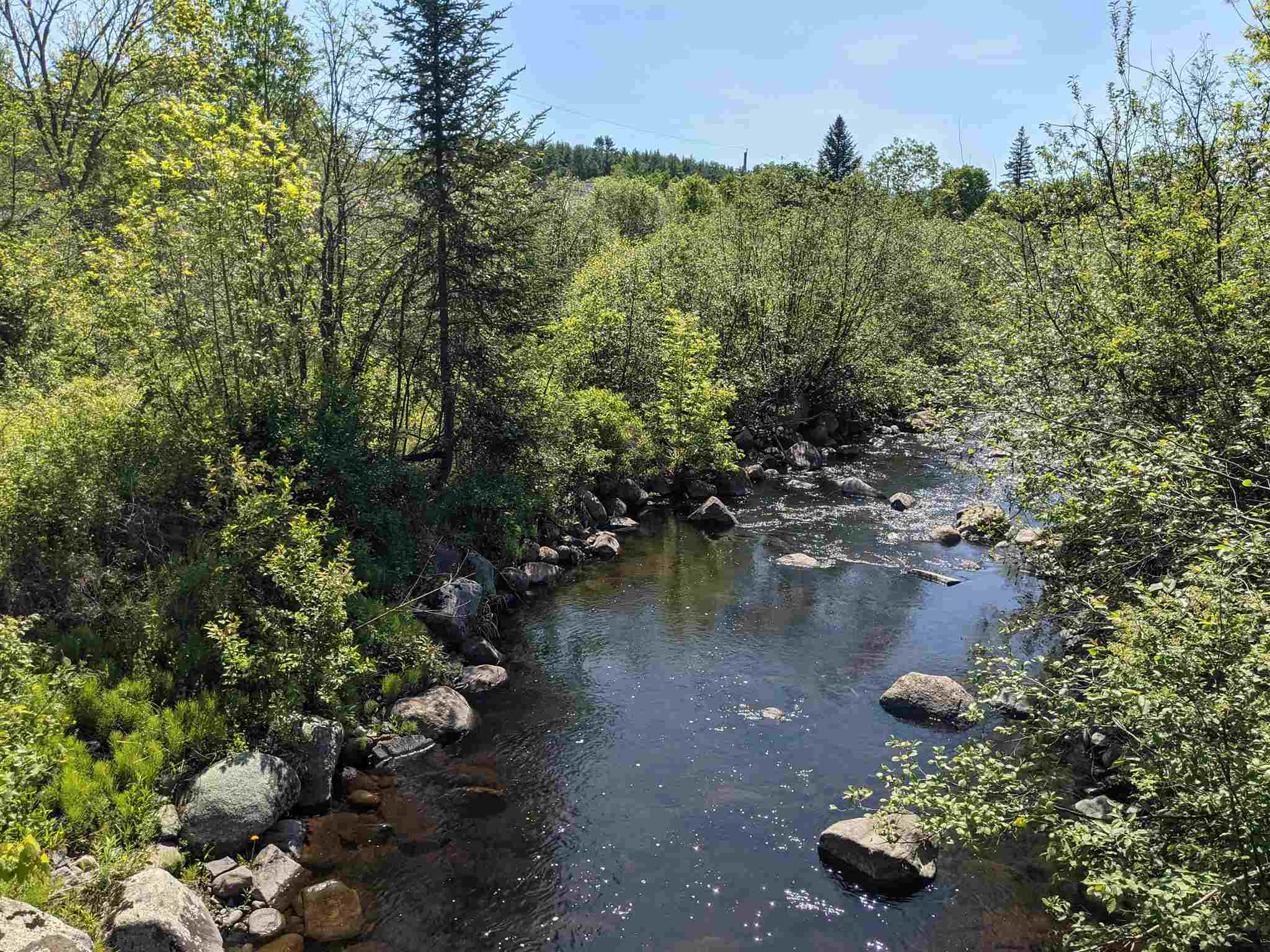0 Cedar Street, Unit LOT 118 Lunenburg, VT 05906 - Photo 4 of 4