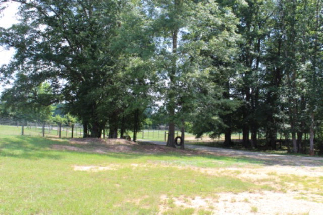163 Gregory Road Forsyth, GA 31029 - Photo 15 of 20 a view of swimming pool with trees