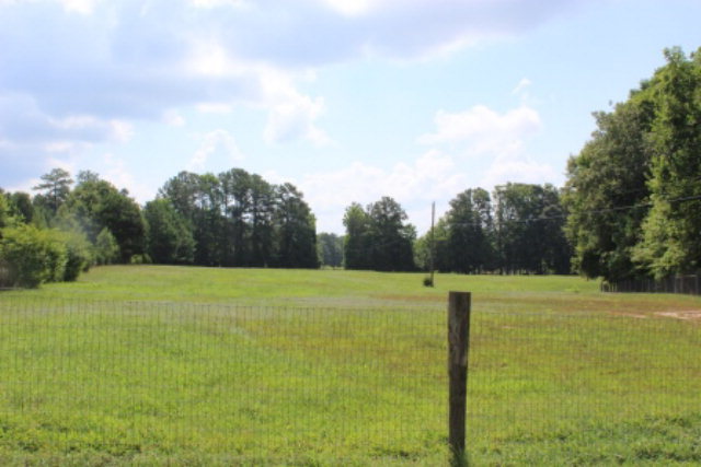 163 Gregory Road Forsyth, GA 31029 - Photo 17 of 20 a view of a big yard with a large trees