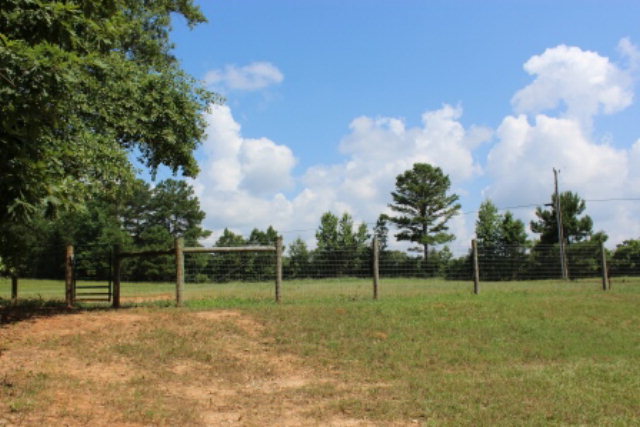 163 Gregory Road Forsyth, GA 31029 - Photo 18 of 20 a view of a park