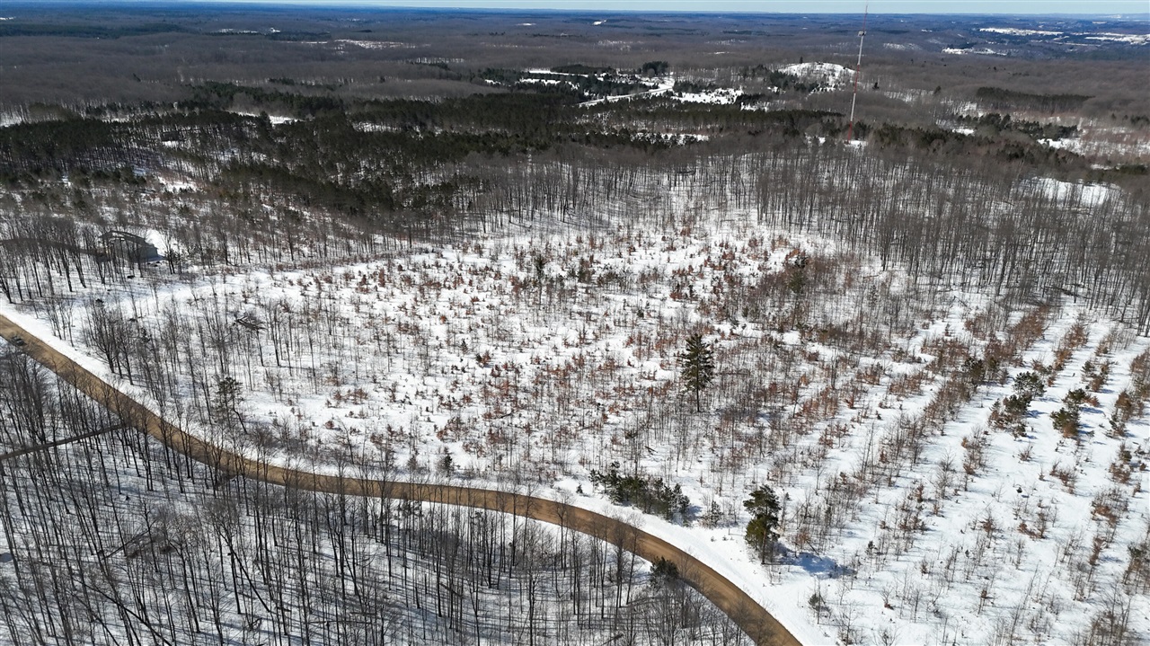 Walker Rd Rapid Rapid City, MI 49676 - Photo 9 of 15