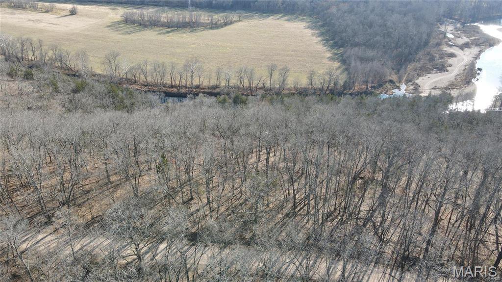 0 Thurman Lake Road Cuba, MO 65453 - Photo 10 of 14